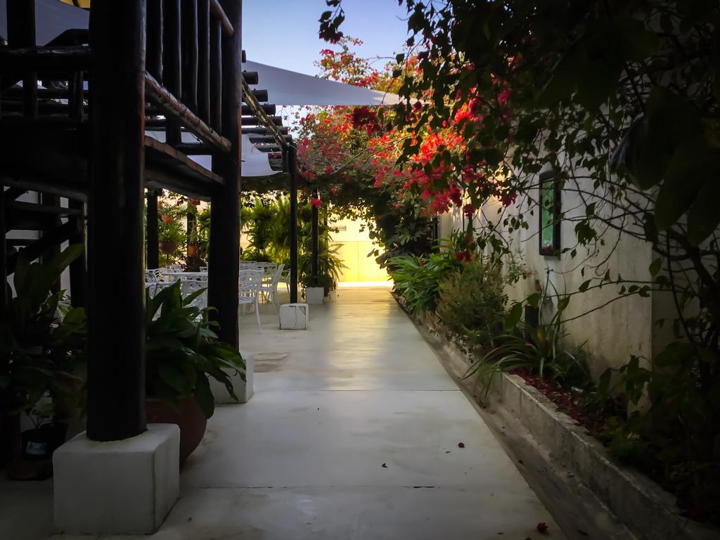 לינה וארוחת בוקר סנטה מרתה Casa Ines מראה חיצוני תמונה